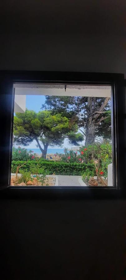 Apartamento Frente Al Mar Alcoceber Екстер'єр фото